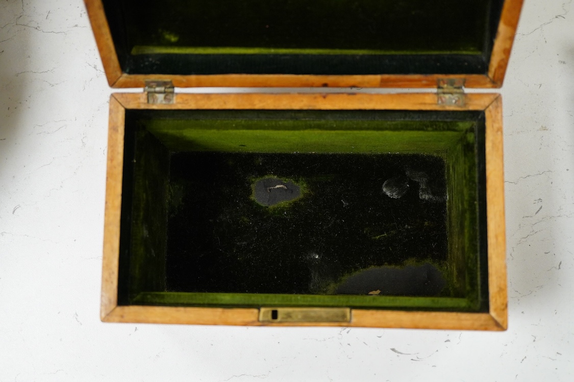 A 19th century domed sycamore and yew wood panelled jewellery box, possibly Scottish, 20cm wide